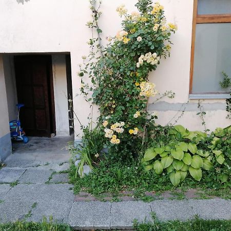 Evita Apartment 카를로바츠 외부 사진